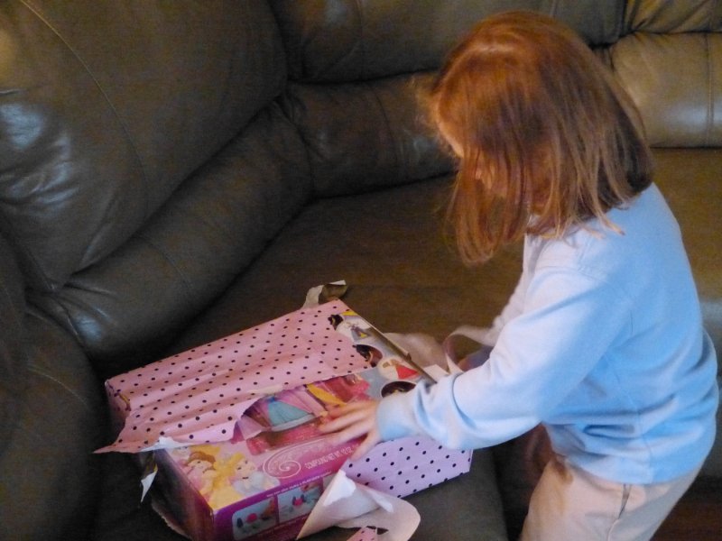 New Princess Play Doh Set